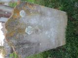 image number C1_281